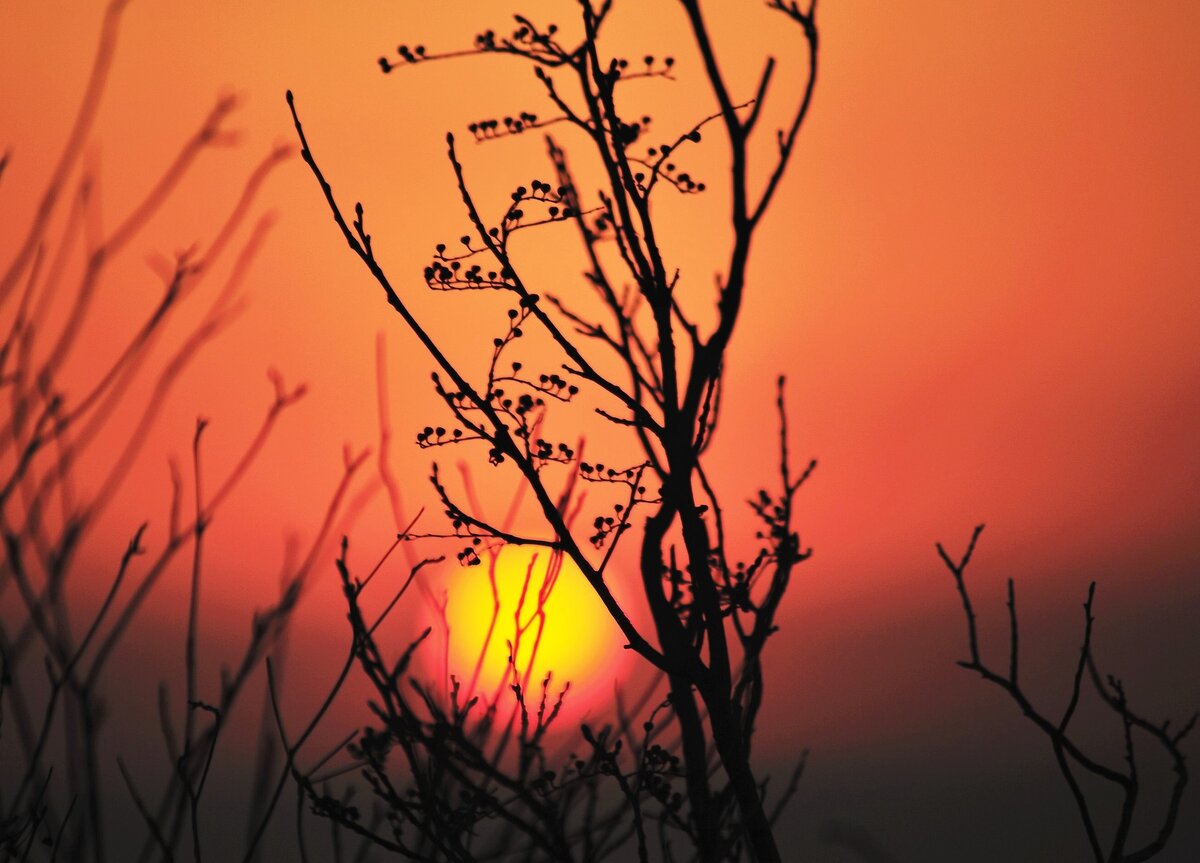 Картинка из источника в свободном доступе.