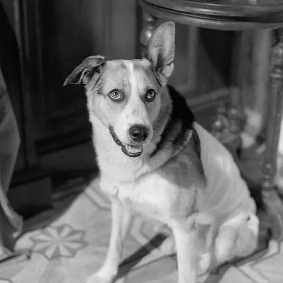 Похабная квартирка, но до чего хорошо!