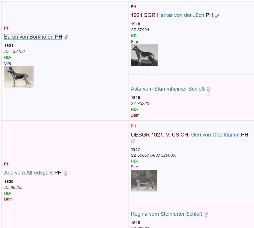 родословная Эду фон Гейзенгоф