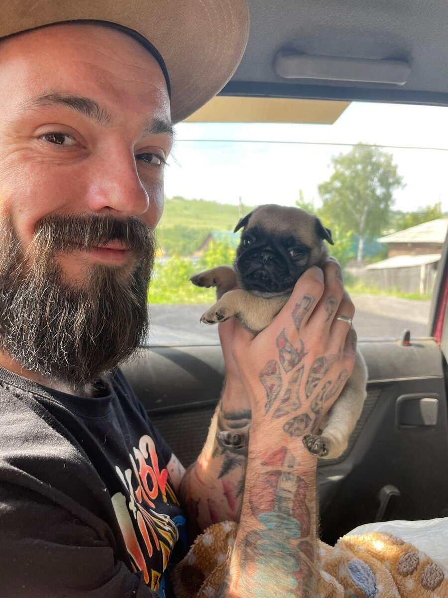 Арчи на пути в новый дом