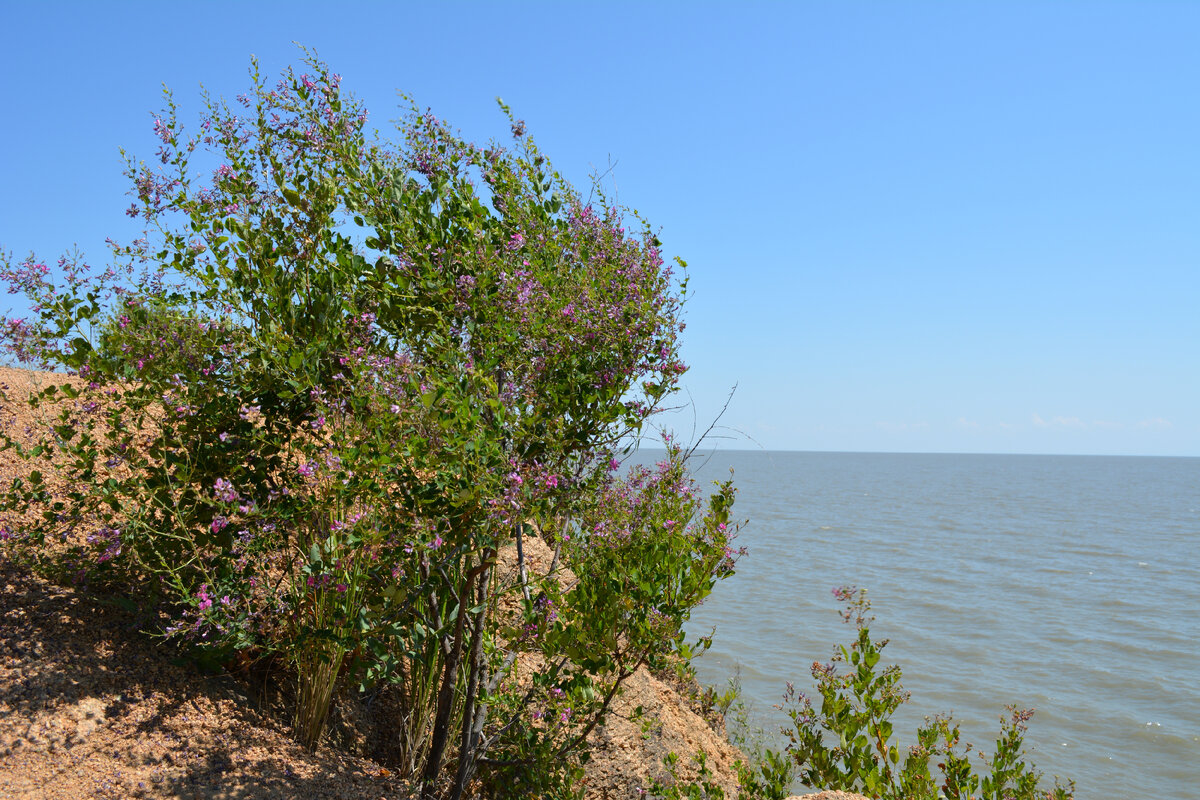 Вид со скалы (с. Троицкое)