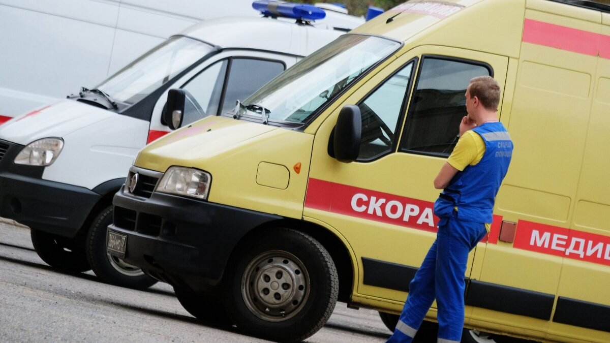    Фото: Sputnik/Наталья Селиверстова. Август Макаров