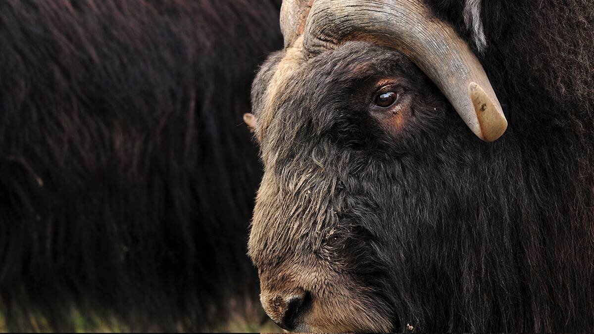    Фото: Shutterstock