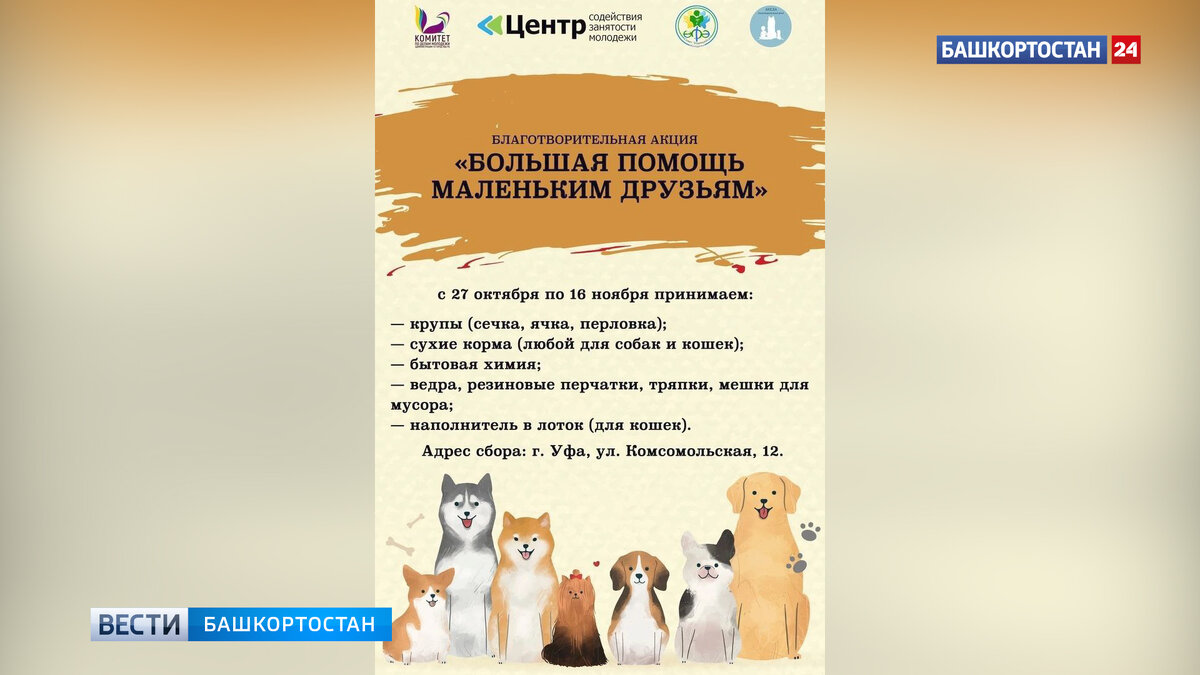    В Уфе стартовала благотворительная акция "Большая помощь маленьким друзьям"