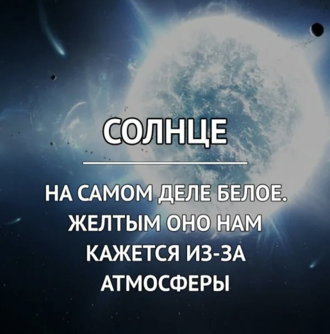 Все обо всем самое интересное. Интересные факты. Краткие интересные факты. Факт это кратко. Краткие факты в картинках.