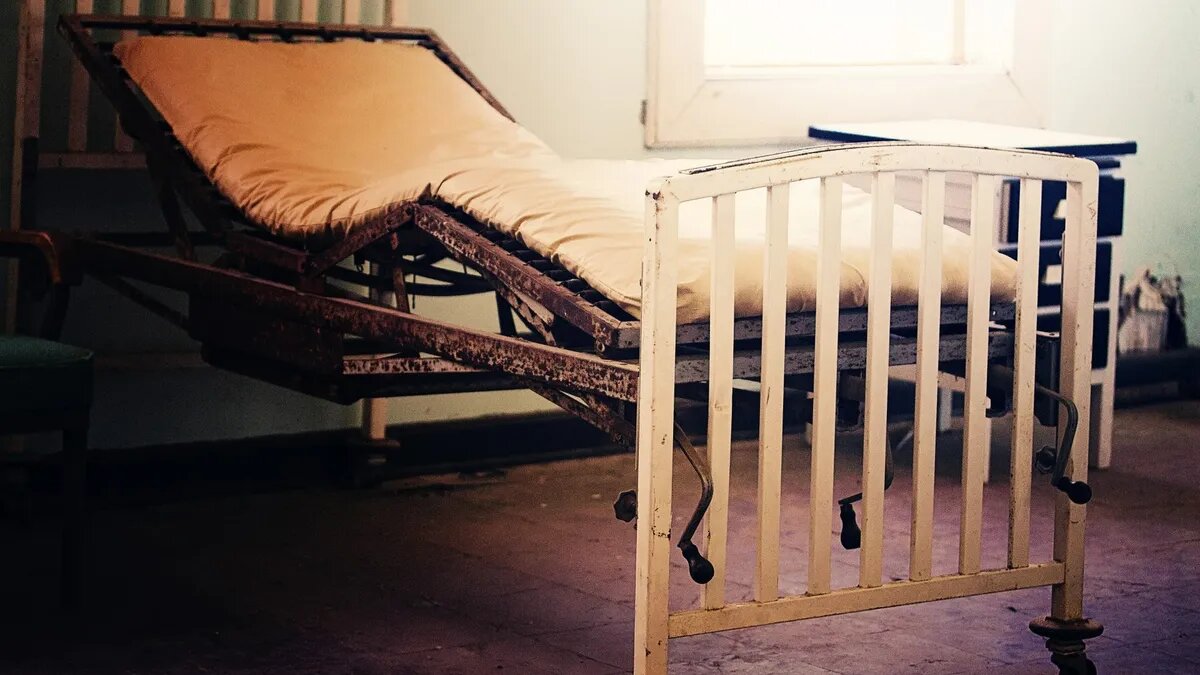 Фото: publicdomainpictures.net