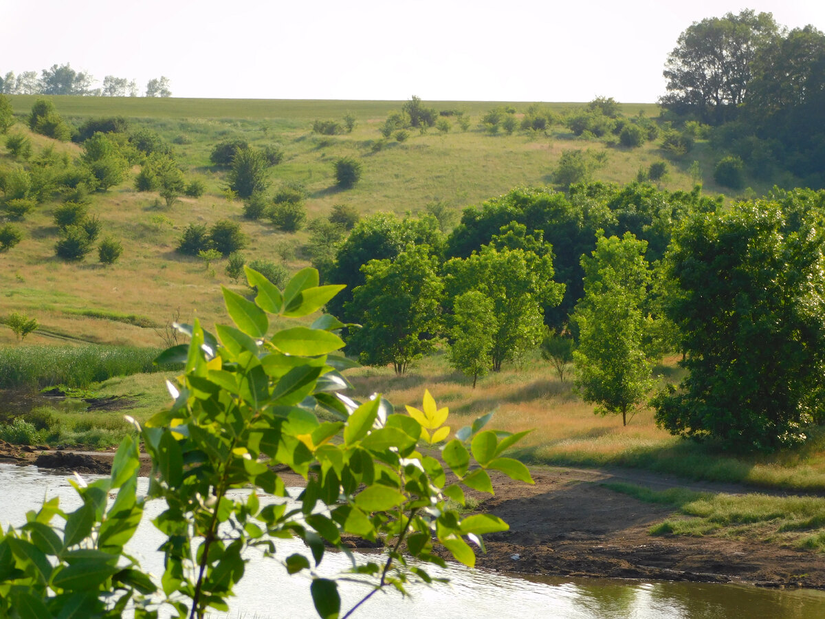 Фото автора канала
