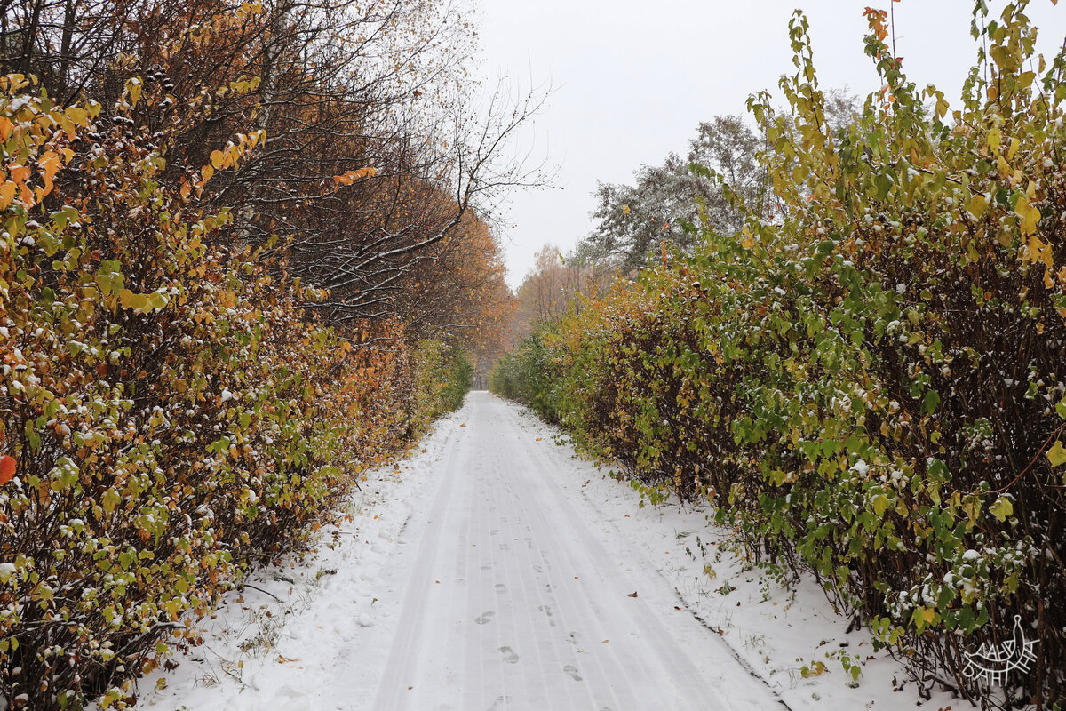 Борьба жизни и смерти; первой до весны всё же придётся уступить
