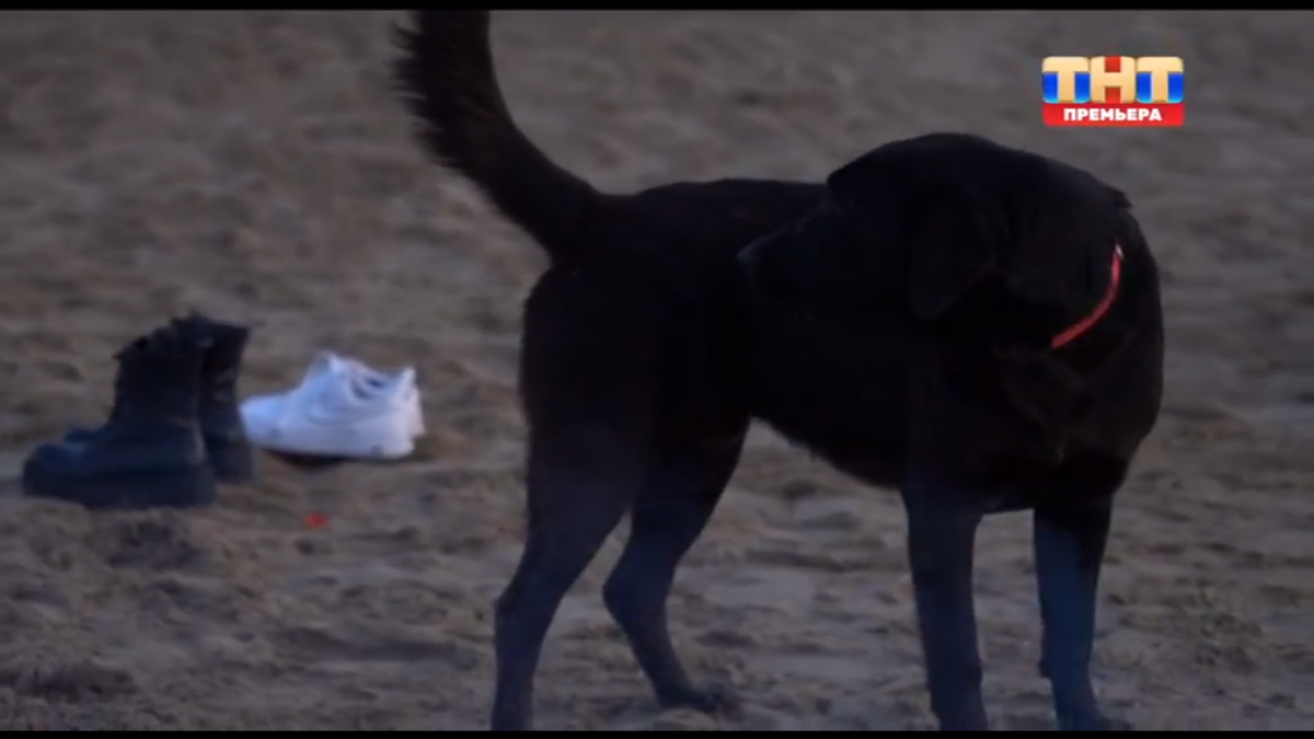 чей-то пёс, символ присутствия беса