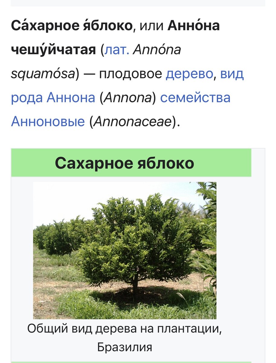 Фото из интернета.
