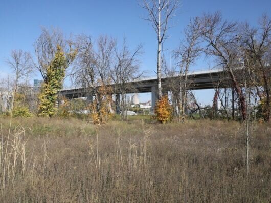    начало левобережной рощи под Ворошиловским мостом // фото: rostov-gorod.ru