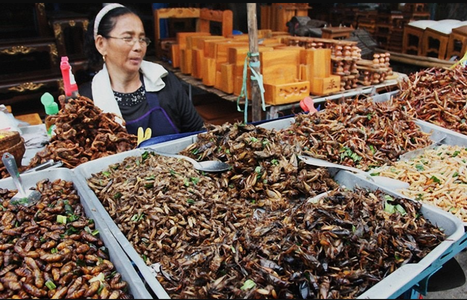 Где едят червей. Рынок в Тайланде с насекомыми. Тараканы в Тайланде. Жуки Тайланда. Жареные насекомые в Тайланде.