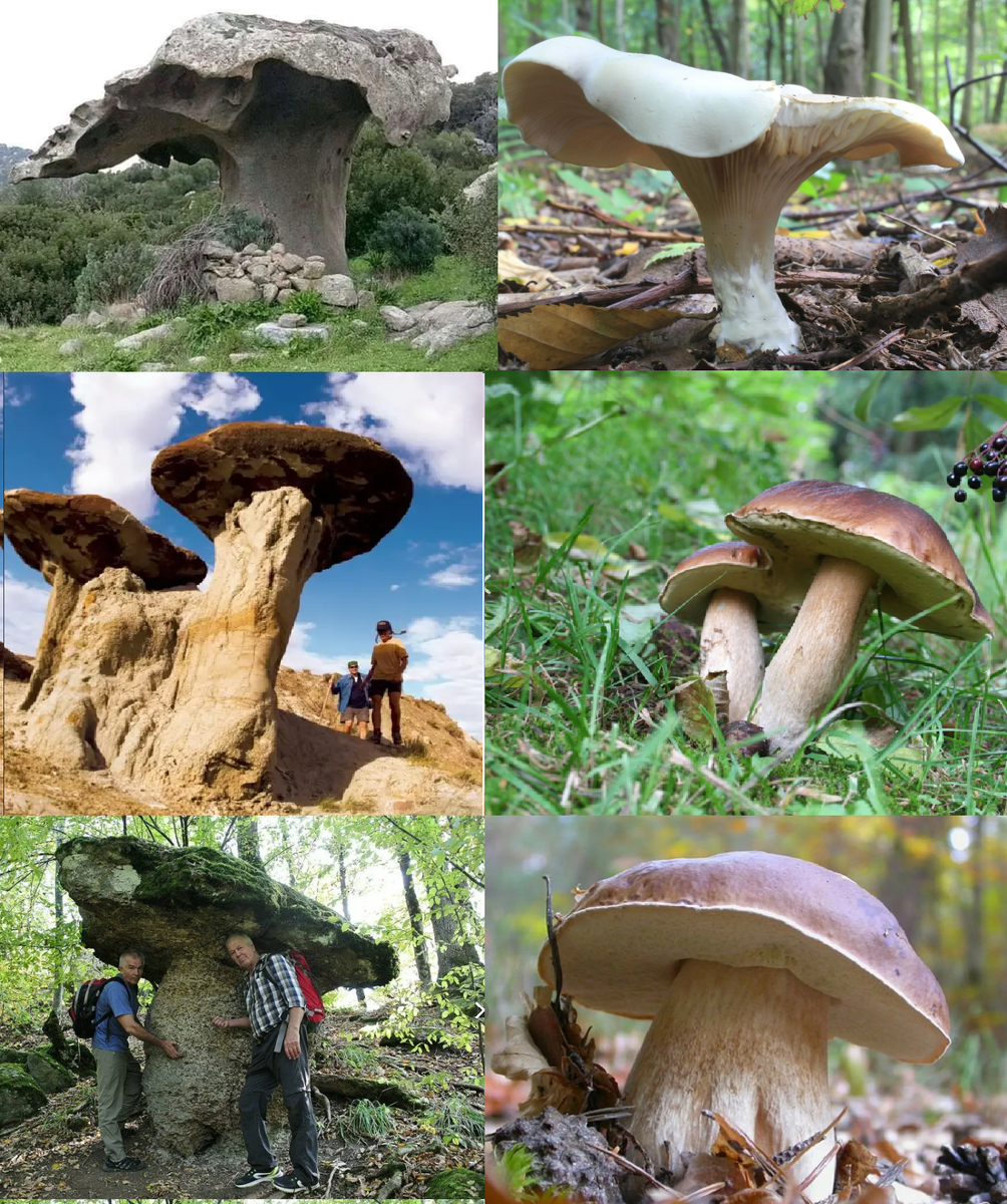 Все познается в сравнении