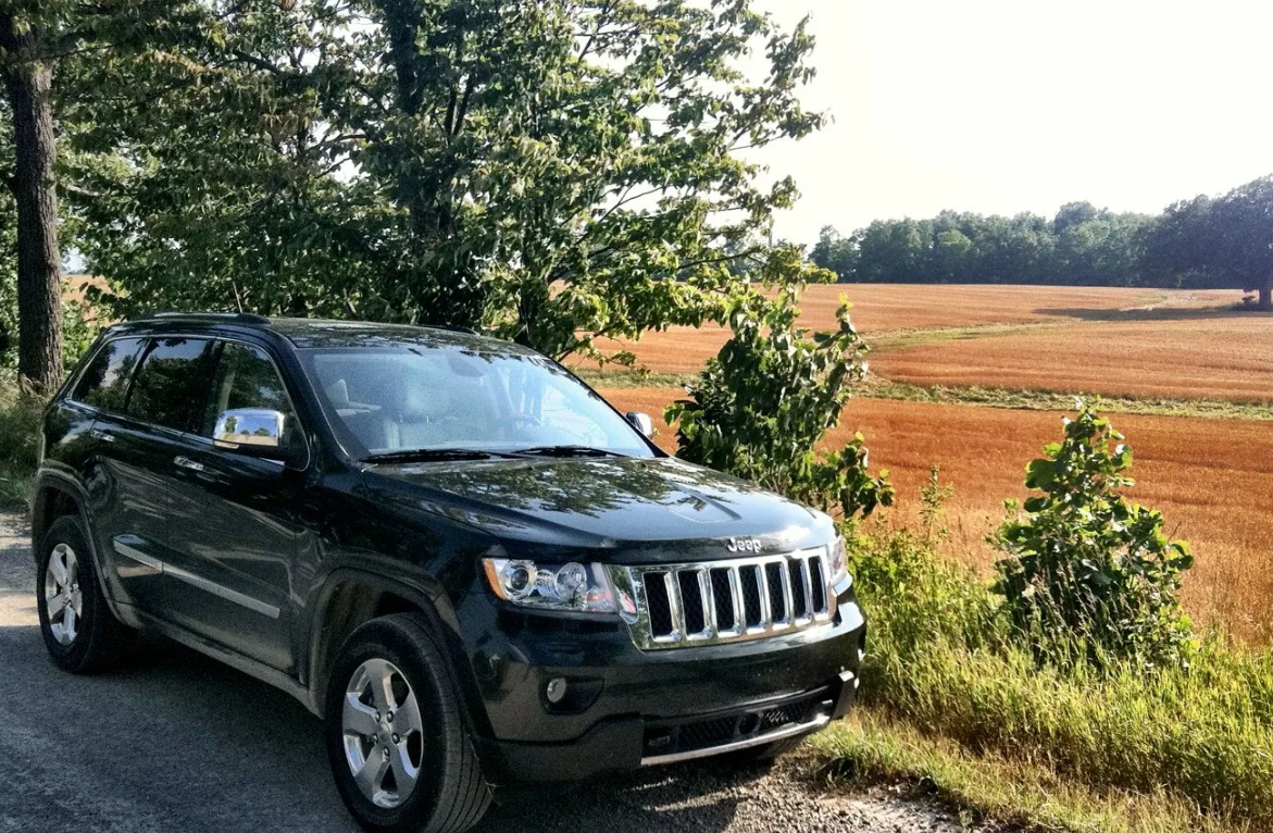 Яндекс картинки