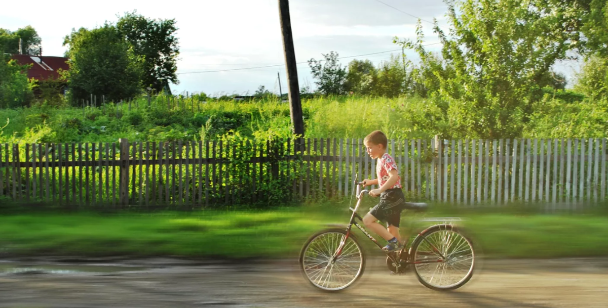 Яндекс картинки