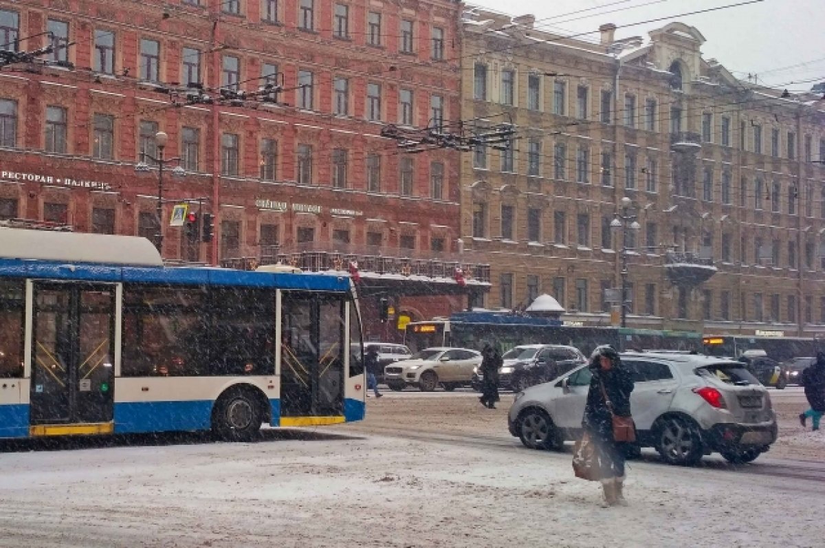    Новый троллейбусный маршрут соединит три района Петербурга