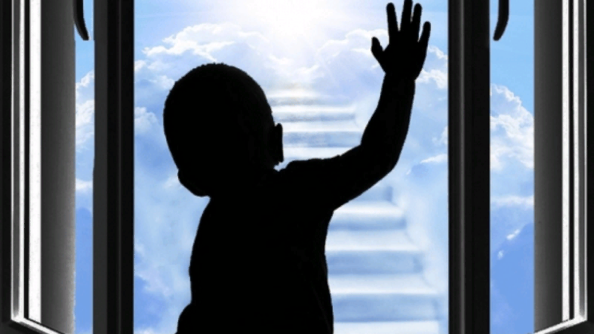 Картинка из интернета