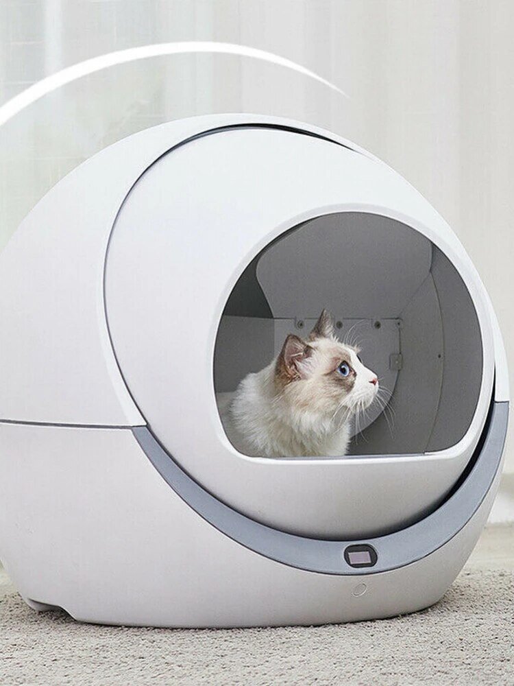 Где купить автоматический лоток для кошек