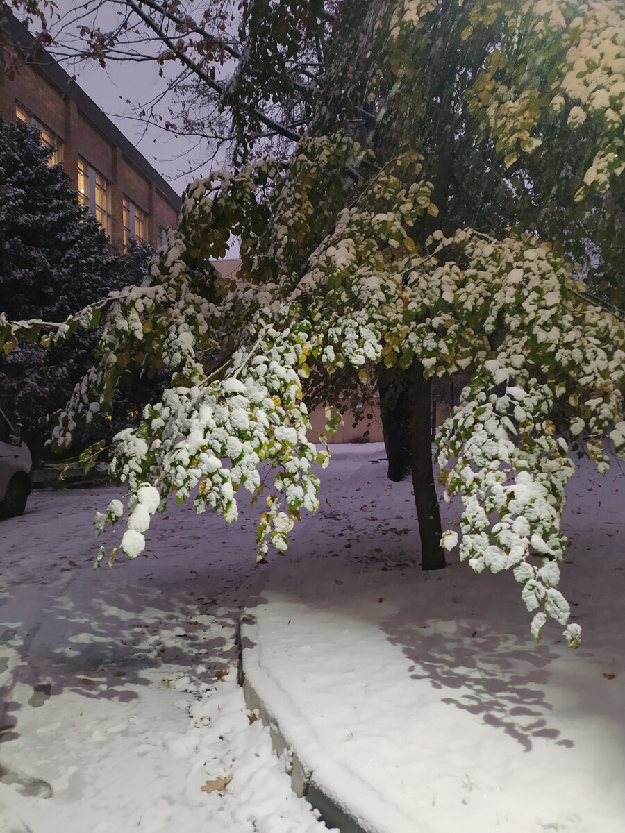 Фото автора 