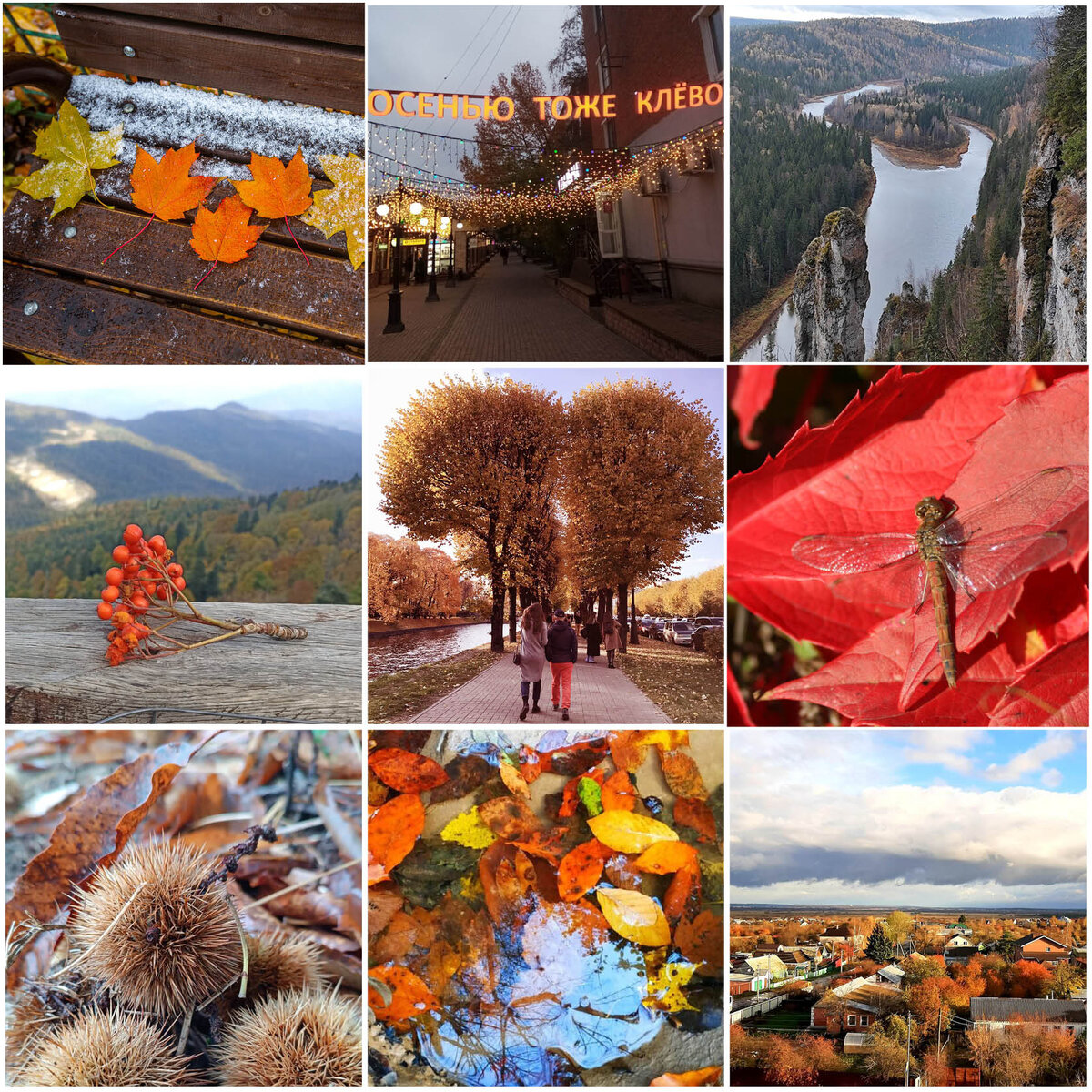 Спасибо всем, кто участвовал в прошлой Фотомагии - «Осень! Гуляем». Понятно, что в 9 квадратиков не вместить всё предложенное, но всем огромное спасибо за участие, это было феерично! ♥ Авторы этих кадров: 1 - Уникальная Россия, 2 - Лана Белодворова, 3 - Надежда Благова, 4 - Людмила Фришко, 5 - Экскурсии без экскурсоводов, 6 - Елена Зареченская, 7 - Окно в Италию, 8 - Куда-нибудь поедем, 9 - Ольга Г.
