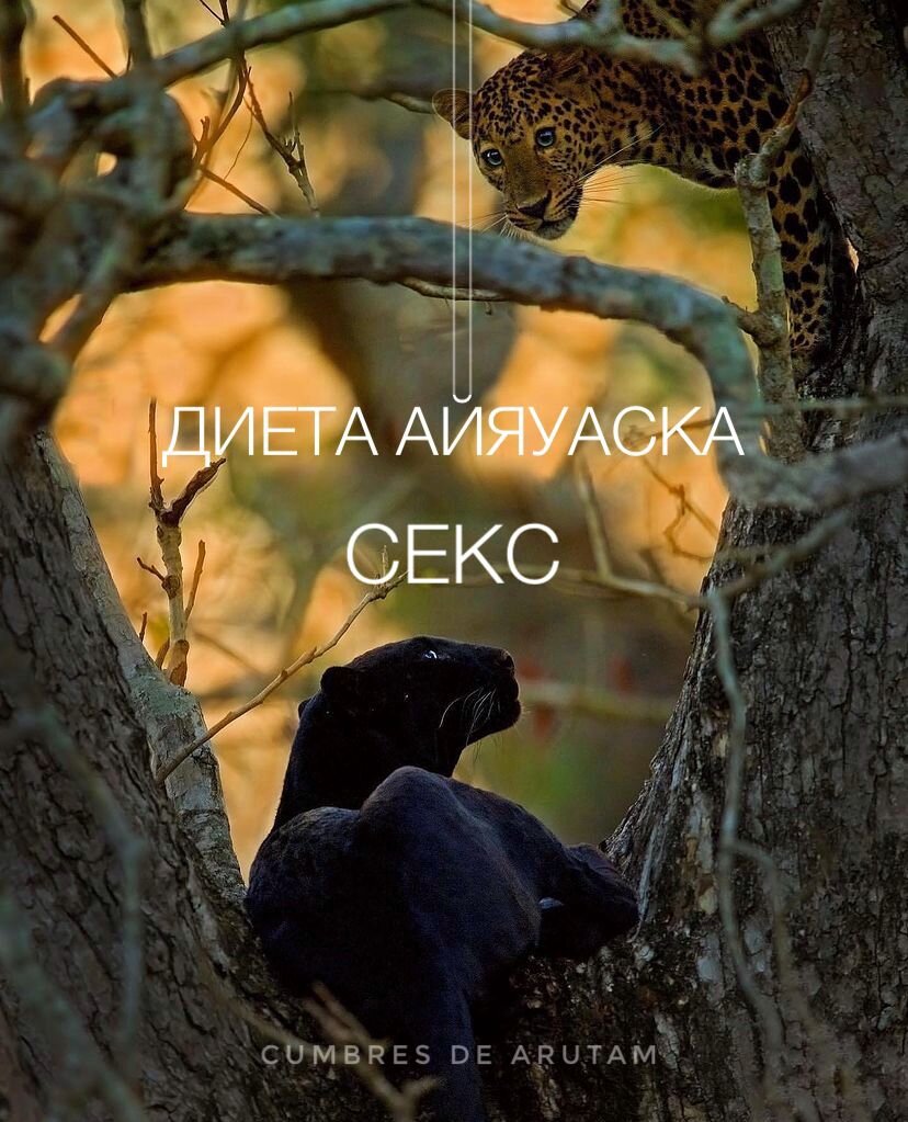 Диета для здорового секса