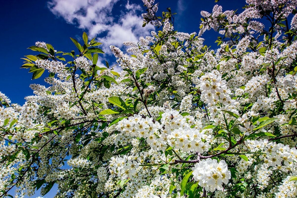 Картинка из источника Интернет