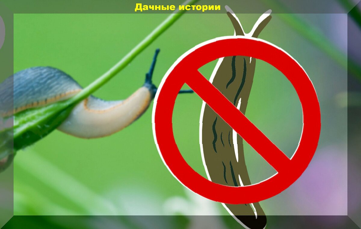 https://vk.com/photo-159774511_457262547