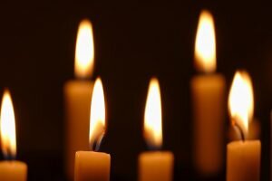    Фото: Pixabay / michaelmep Ксения Смирнова