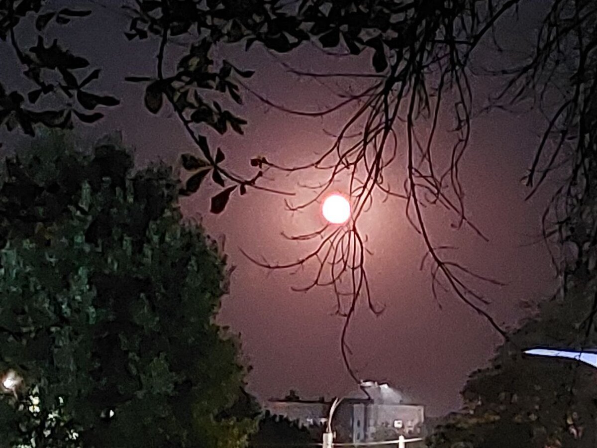 прогноз для всех знаков зодиака: лунное затмение 28 октября 2023 