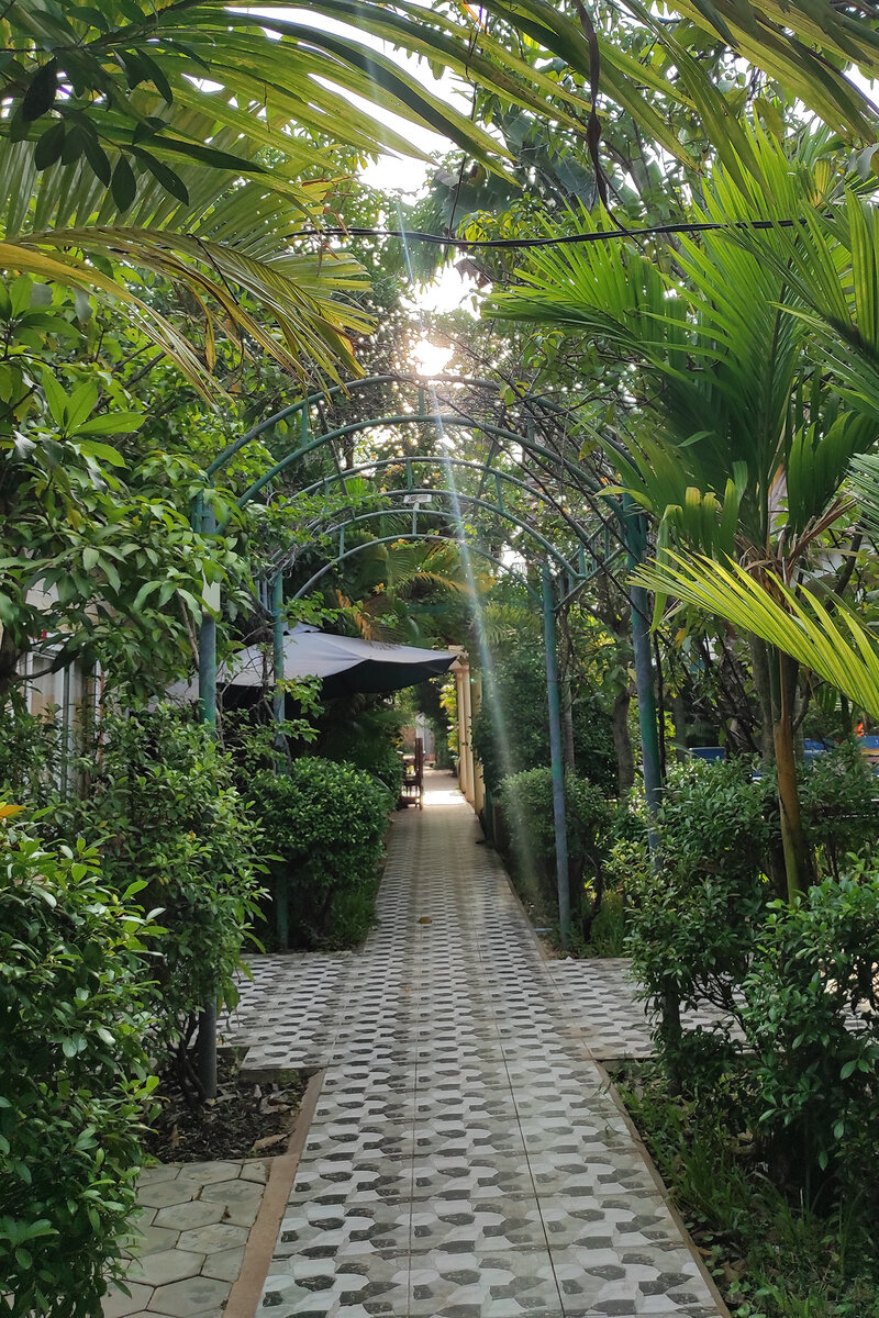 В нашем ресорте все спят, тишина, слышно пение птиц, стрекот насекомых, солнышко пробивается сквозь деревья