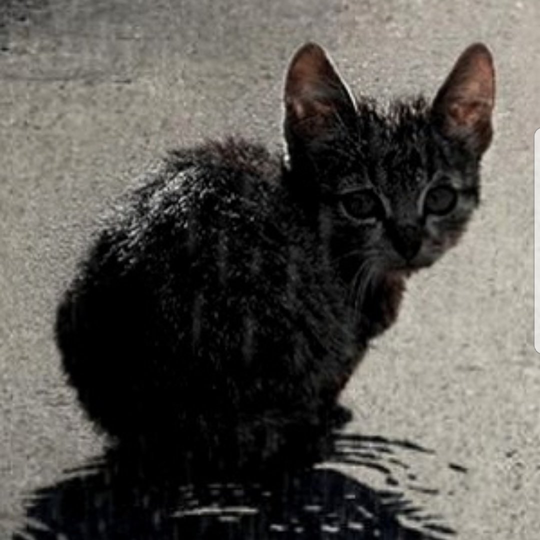 Картинка из источника Интернет