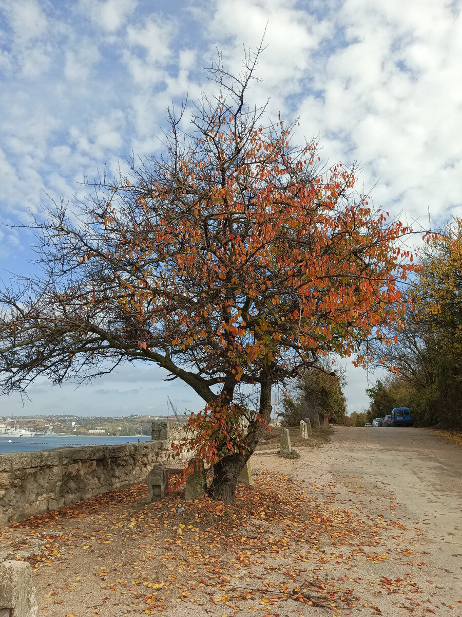 Ушакова балка