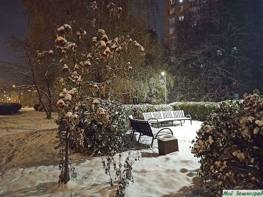 Первый снег в Зеленограде