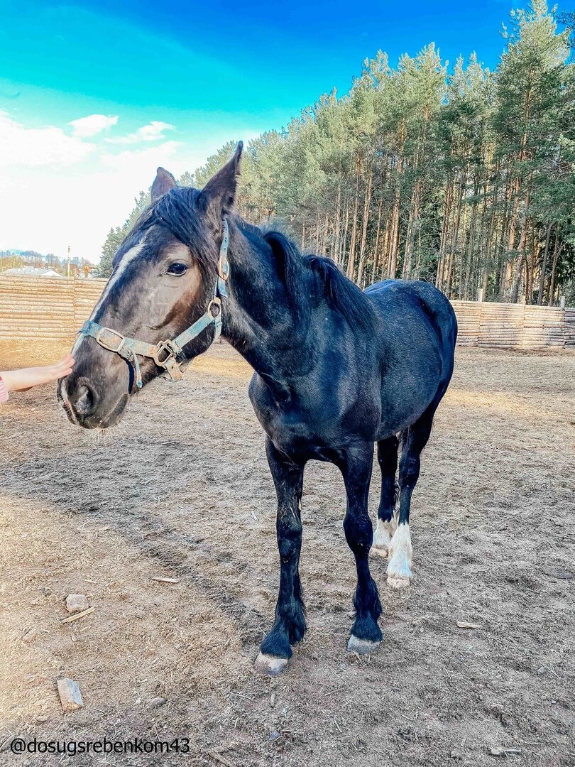 Ферма-парк «Деревенька»