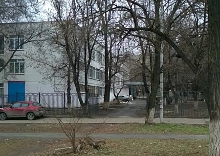    В Ростове дети-мигранты напали на русского школьника. Мужчину спасшего ребёнка хотят судить