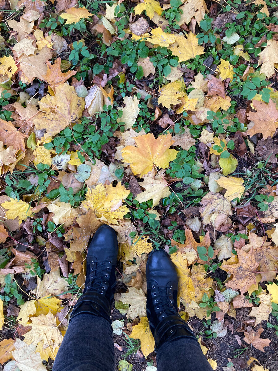 29 октября 2020 год Санкт-Петербург 