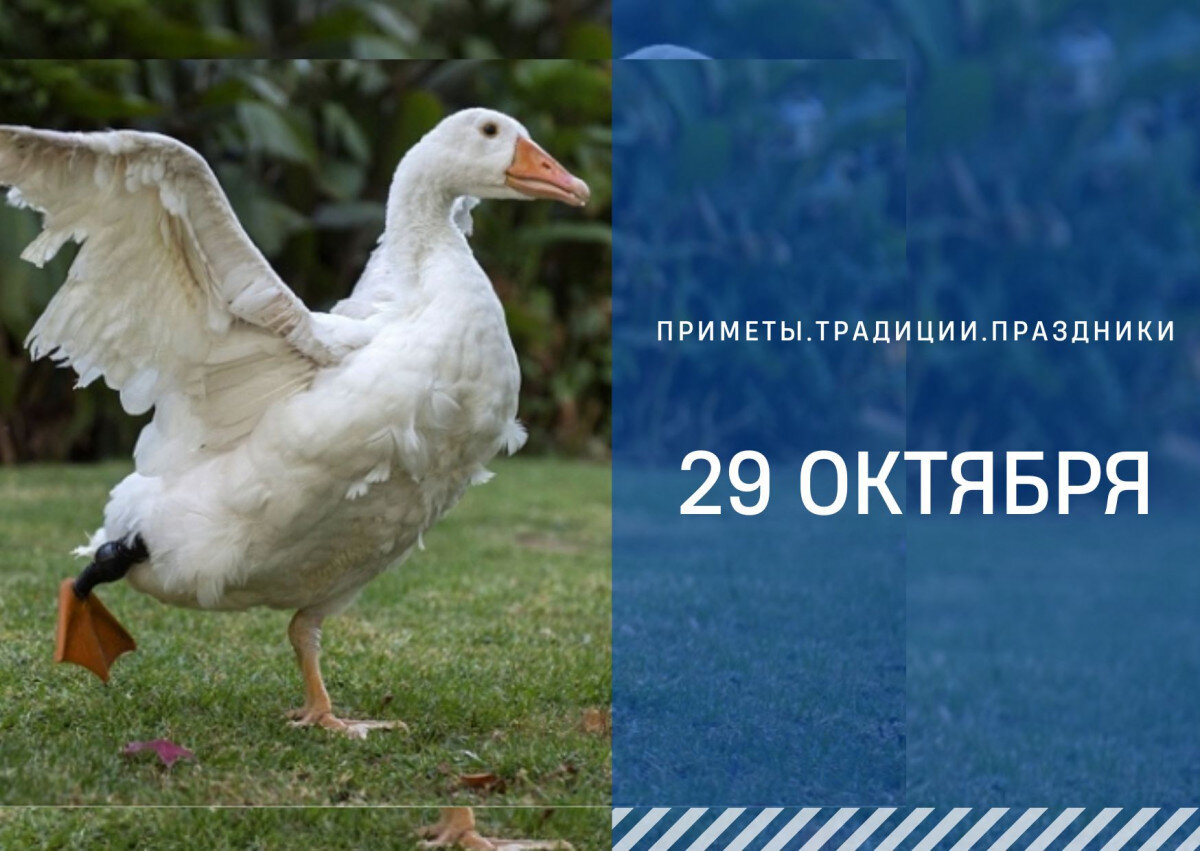   ГТРК "Ставрополье"