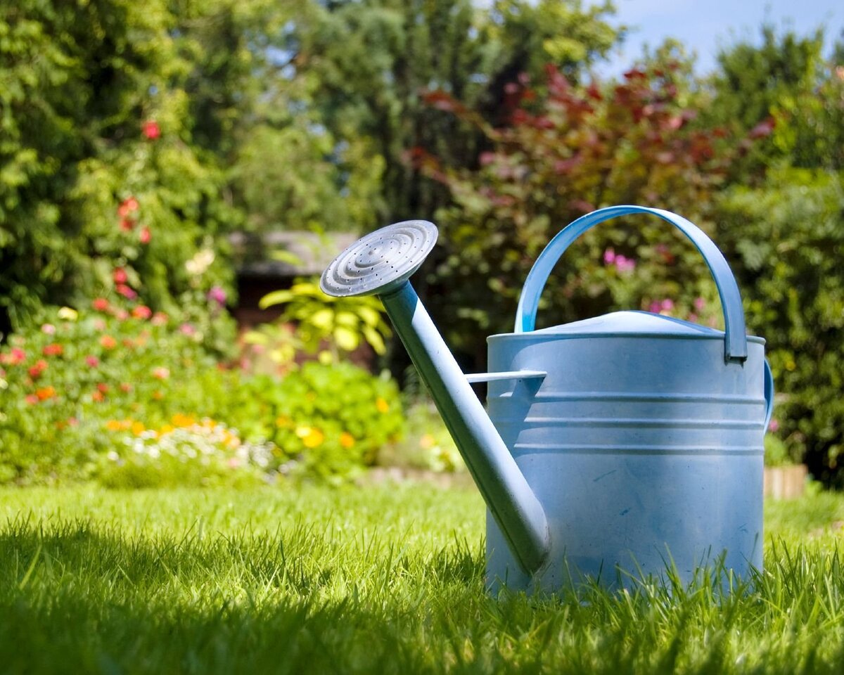 Watering перевод на русский. Лейка для сада. Лейка для полива. Полив лейкой. Лейка для огорода.