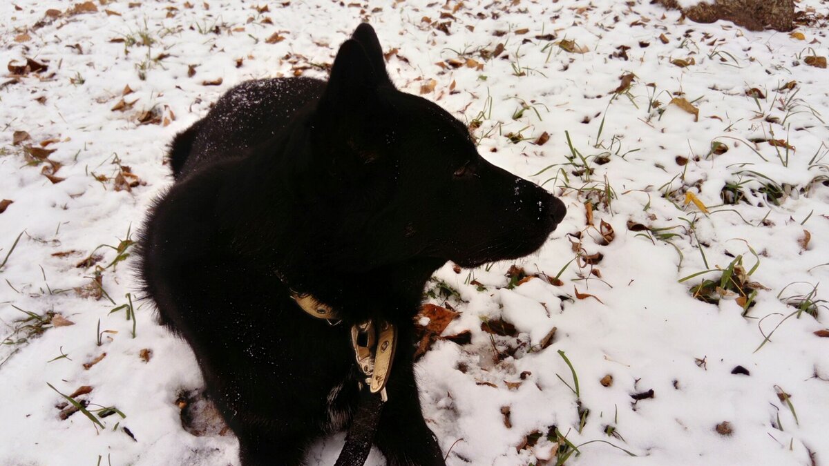 Дашка, все фотографии в тексте - автора