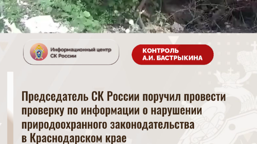 Россия поднялась на второе место по количеству удаленных за нарушения видео из TikTok