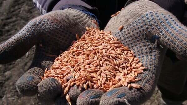    © Sputnik / Сергей Аверин