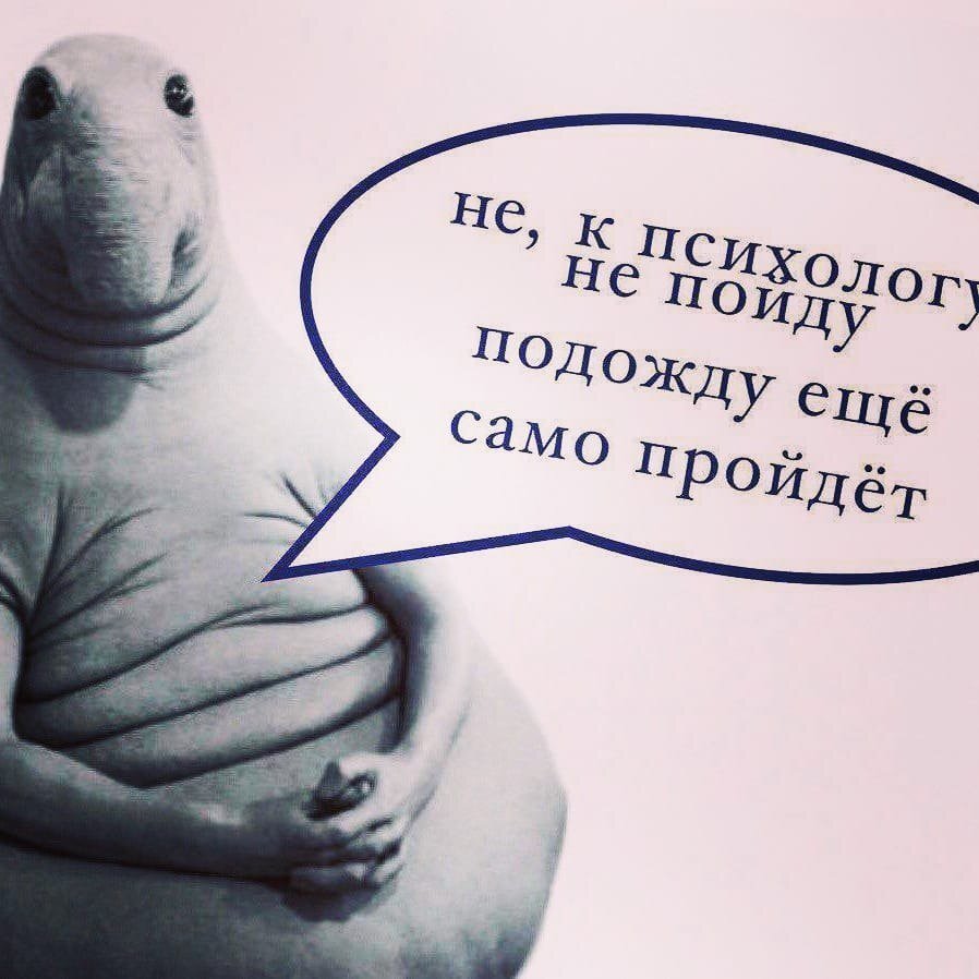 Мем психотерапевт дал мне это