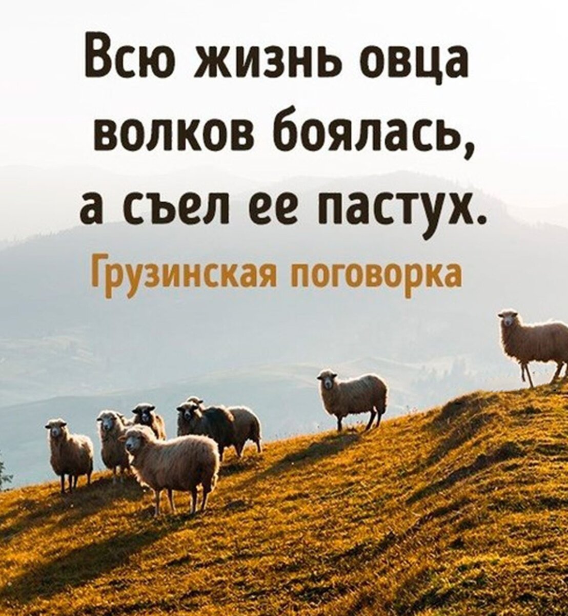 Давайте улыбнёмся! Лучшие шутки, афоризмы и анекдоты недели. Плюс –  традиционный Баттл | Белорус и Я | Дзен