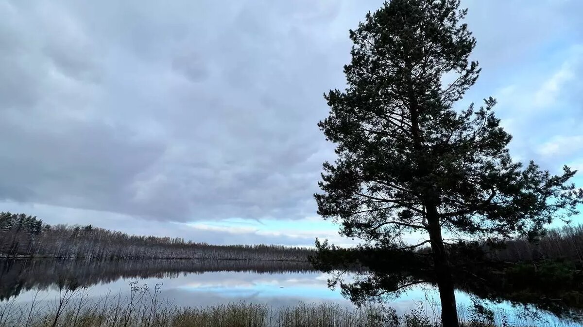     Замгубернатора Нижегородской области Олег Беркович озвучил планы по развитию Воскресенского округа к 410-летию административного центра. Он пообещал привлечь туристов в район.