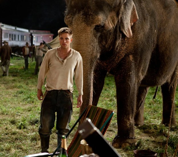 Маленький слоненок беспечно гулял по саванне со своей матерью. Но однажды их настигли браконьеры, охотившиеся за слоновыми бивнями.-2