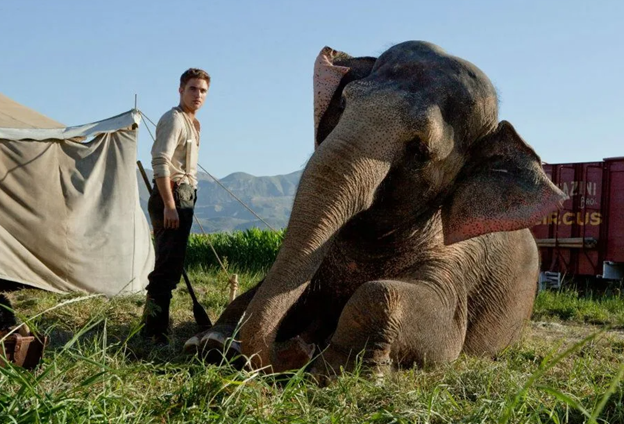 Маленький слоненок беспечно гулял по саванне со своей матерью. Но однажды их настигли браконьеры, охотившиеся за слоновыми бивнями.-4
