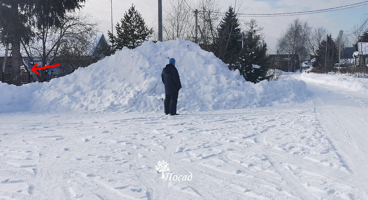 Фотография из предыдущей статьи. Обратите внимание, возле ели прислонена лестница. 