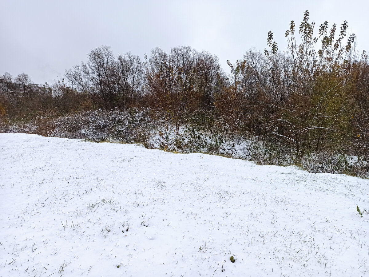 Фото автора. 27 октября 2023