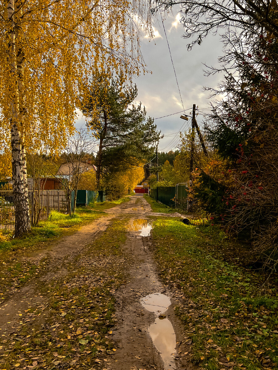 Осенняя распутица 