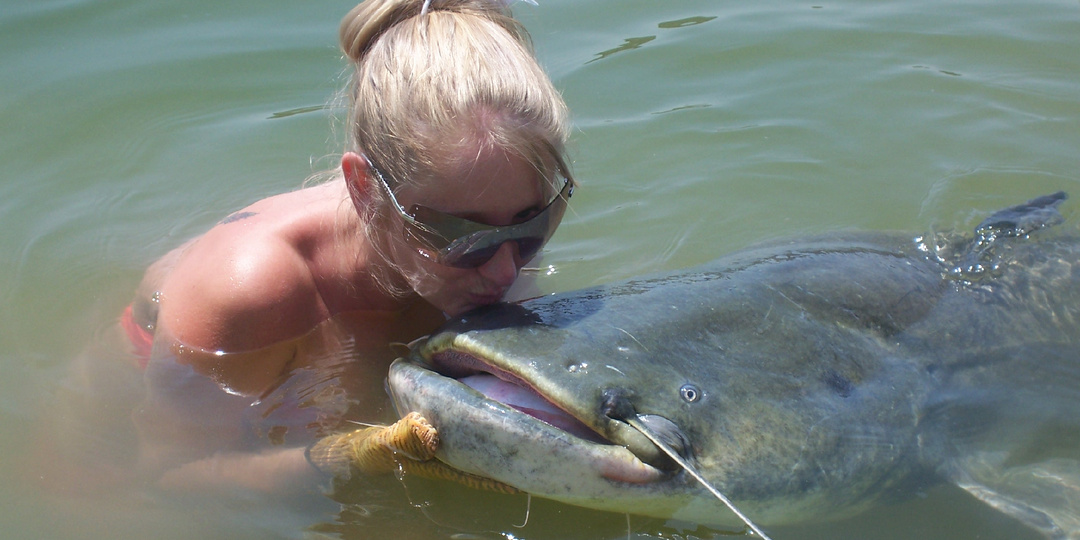 Хитрости при ловле Сома в Ноябре